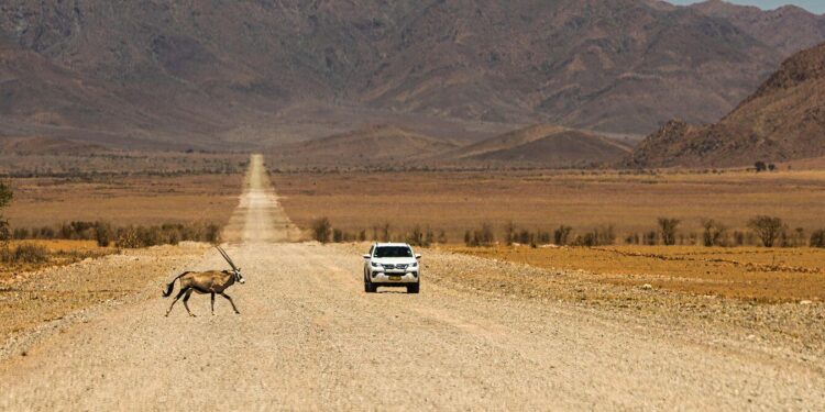 Namibia Historic Election Seats First Female President – Global Finance Magazine