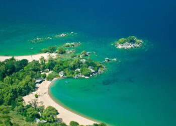 ‘Nothing grows anymore’: In Malawi, eating becomes a daily struggle due to climate change – France 24