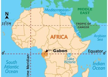 Gabon votes in first presidential election since coup ended 55-year Bongo dynasty – France 24