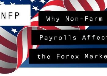 From farm to forex: Insights from Trade Legacy Burundi – Welcome to the United Nations