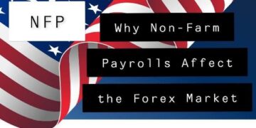 From farm to forex: Insights from Trade Legacy Burundi – Welcome to the United Nations