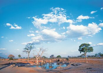 Botswana sees 3.3% growth in 2025 amid upturn in diamond market – Reuters