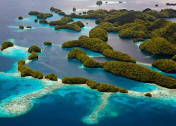 Palau president hits out at China as re-election confirmed – Al Jazeera