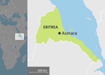 Eritrea gathers regional allies against Ethiopia – The Africa Report.com