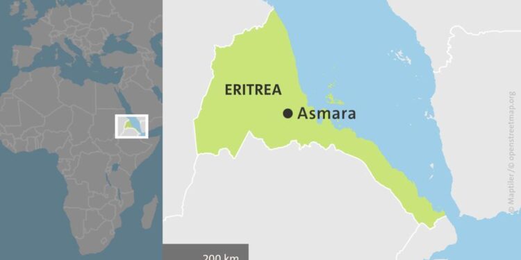 Eritrea gathers regional allies against Ethiopia – The Africa Report.com