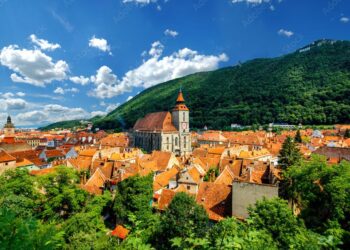 Romania’s wheat crop may surpass by 21% past five years’ average – Romania Insider