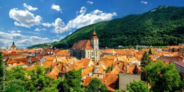 Romania’s wheat crop may surpass by 21% past five years’ average – Romania Insider