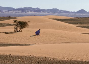 Western Sahara youth organization urges UN Human Rights Council to safeguard Saharawi peoples’ rights – JURIST Legal News