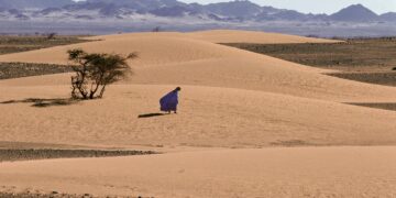 Western Sahara youth organization urges UN Human Rights Council to safeguard Saharawi peoples’ rights – JURIST Legal News