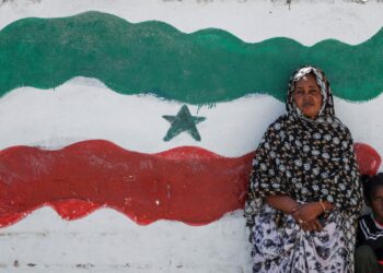 A Tale of Two Futures: How Somaliland built stability while Somalia battles crisis – Addis Standard