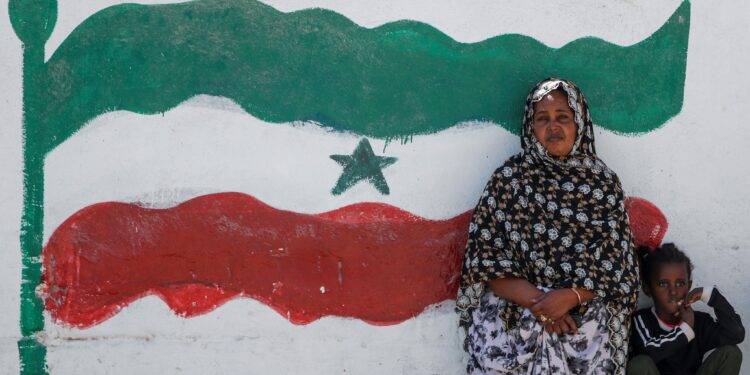 A Tale of Two Futures: How Somaliland built stability while Somalia battles crisis – Addis Standard