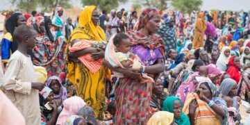 Sudanese refugee women defy odds to rebuild their lives in Chad – UNHCR – The UN Refugee Agency