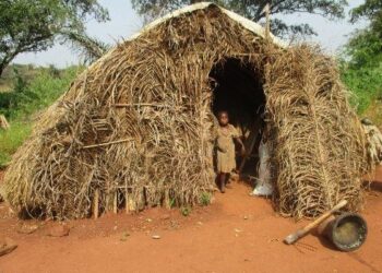 Supporting Central African returnees from Cameroon and host communities – Action contre la Faim