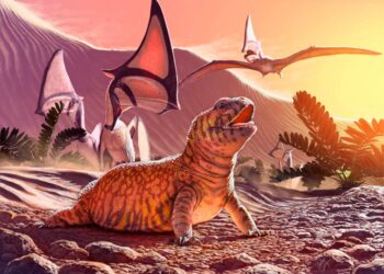 Ancient Iguanas “Rafted” 5,000 Miles to Fiji, Study Shows – SURFER Magazine