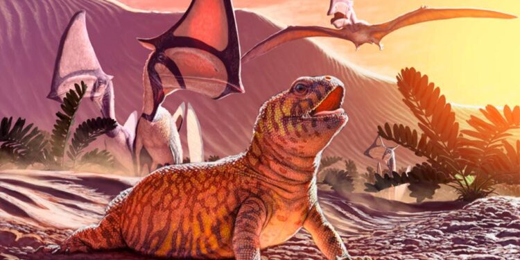 Ancient Iguanas “Rafted” 5,000 Miles to Fiji, Study Shows – SURFER Magazine