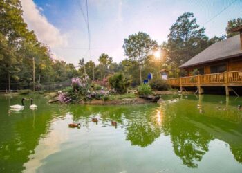 Scotland Neck police chief resigns after ‘career-damaging’ letter – WRAL.com