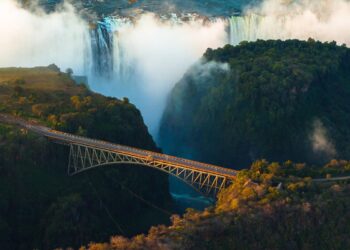 At least 95 arrested in Zimbabwe after antigovernment protests – Al Jazeera