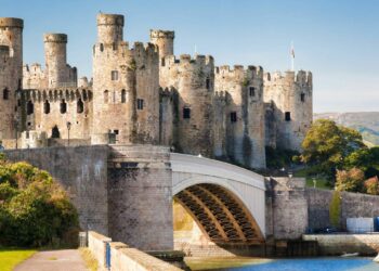 Wales cruise past Liechtenstein despite Neco Williams injury blow – Nation.Cymru