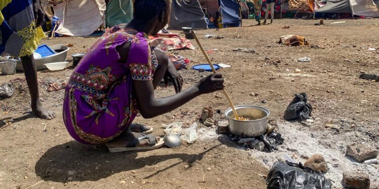 Sudan Emergency Dashboard | April 2025 – ReliefWeb