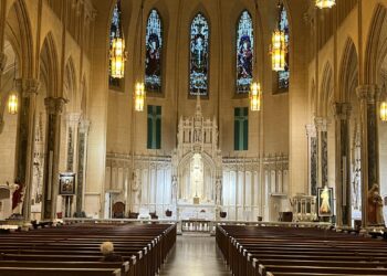 Catholic official responds to Trump’s claims of white ‘genocide’ in South Africa – Catholic Herald