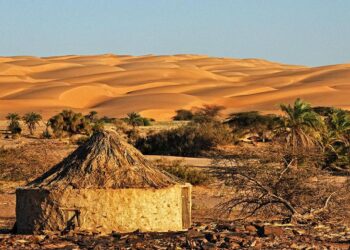 Mauritania is main country of departure for migrants to Spain – InfoMigrants