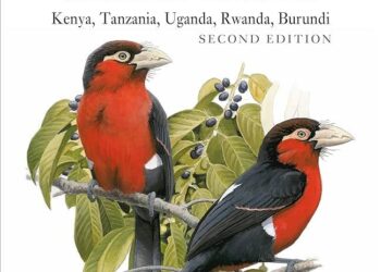 East Africa’s rulers saw what Gen Z can do – now they’re striking first – Al Jazeera