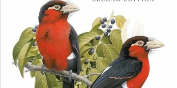 East Africa’s rulers saw what Gen Z can do – now they’re striking first – Al Jazeera