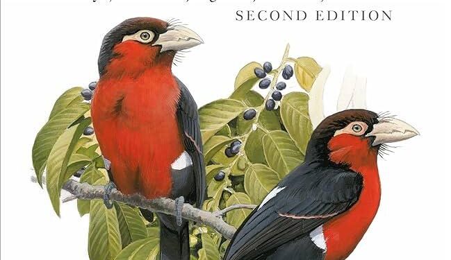 East Africa’s rulers saw what Gen Z can do – now they’re striking first – Al Jazeera