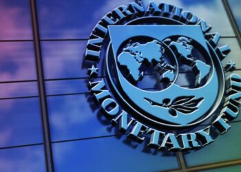 IMF wants Zimbabwe to adopt ZiG as sole legal tender – Business Insider Africa