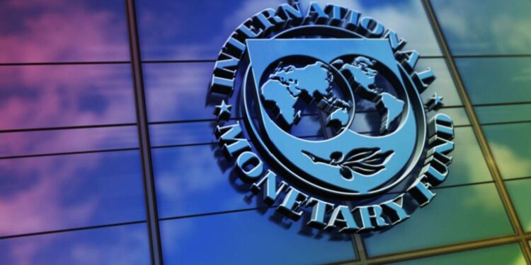 IMF wants Zimbabwe to adopt ZiG as sole legal tender – Business Insider Africa