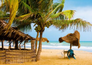 Gambia: Continued ban on FGM is good news but authorities must urgently address its root causes – Amnesty International