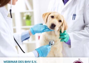 Medical training in Central African Republic – EEAS