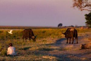 How Northern Botswana’s Evolving Landscape Became a Haven for Wildlife – Travel + Leisure