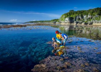 Niue and Tonga see strong returns from smarter tourism planning – survey – Pacific Media Network