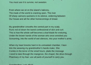 If New Zealand wants to restate terms with Cook Islands, it should step up support – The Strategist | ASPI’s analysis and commentary site