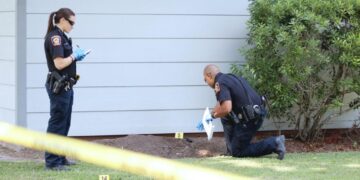 Police investigate fire at Borrodell Estate winery restaurant near Orange – Australian Broadcasting Corporation