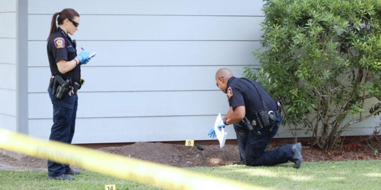 Police investigate fire at Borrodell Estate winery restaurant near Orange – Australian Broadcasting Corporation