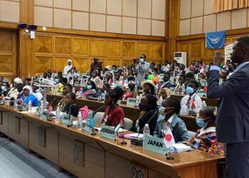 Model United Nations briefing with Sierra Leone embassy leads to honorable mention award – UMass Dartmouth