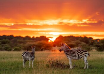 Breathtaking beauty in Botswana – World Wildlife Fund