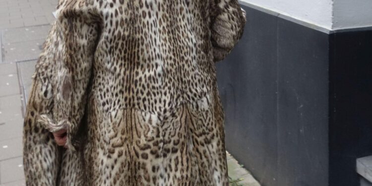 Outrage after cat fur clothing sold in Australia – The Independent