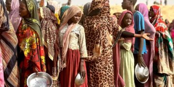 Sudan civilian alliance seeks South African help to end war – Sudan Tribune