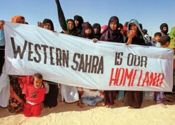 Western Sahara’s quest for independence seems to be flagging – ISS Africa
