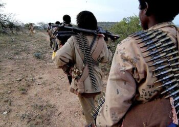 Suspected insurgents kill dozens of people in Niger – TRT Global