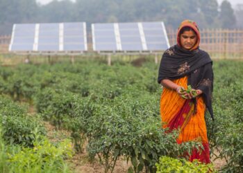 GCA to Strengthen Rural Climate Resilience in Mauritania through Water Access – Global Center on Adaptation