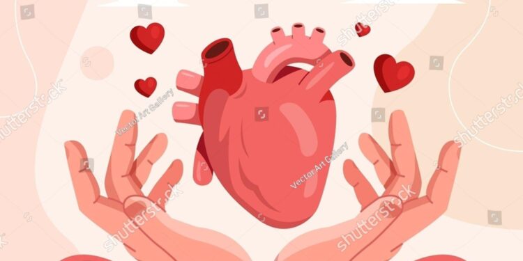Organ Donation in Bulgaria Has Given Three Romanian Patients Second Chance at Life – БТА