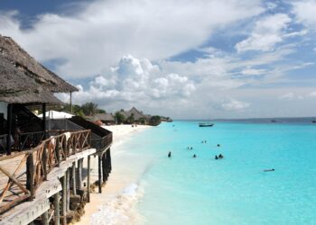 Tanzania arrests opposition official travelling to political conference – Reuters