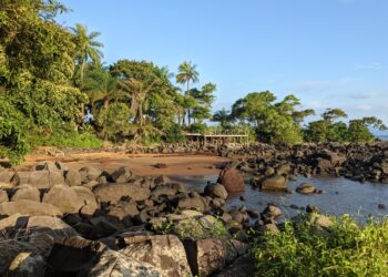 Sierra Leone’s Bio takes over as ECOWAS chair amid rising instability – The Africa Report.com