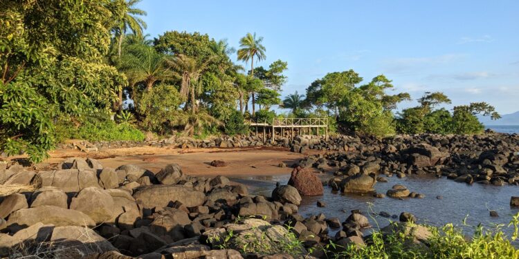 Sierra Leone’s Bio takes over as ECOWAS chair amid rising instability – The Africa Report.com