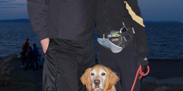 Seamas Markey Obituary (2024) – Saint Helena, CA – St. Helena Star – Legacy.com