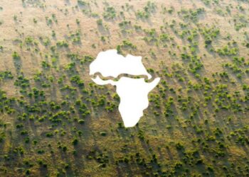 Interview: Cooperation with China helps build “Great Green Wall” of Africa: Mauritania environment minister – Xinhua